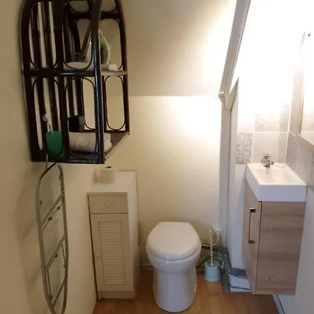 Chambre Et Salle De Toilette Dans Une Maison De En Colocation Le Mans